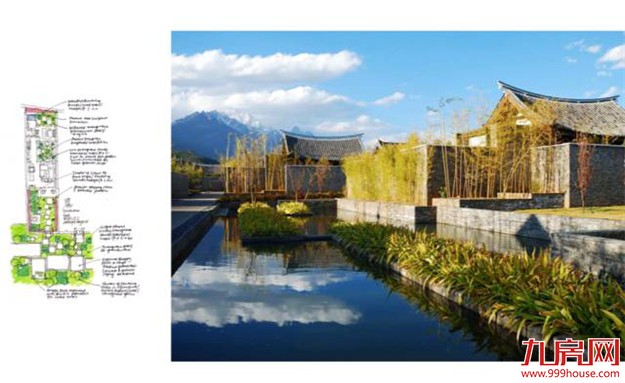 那一年,雪山下发生了一场“连锁效应”...——九房网 那一年,雪山下发生了一场“连锁效应”...——九房网