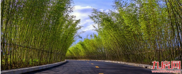 24年历程，龙湖走进了5维园林时代——九房网